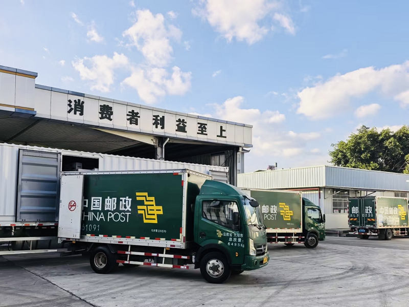 大理商贸公司的新潮流与活力